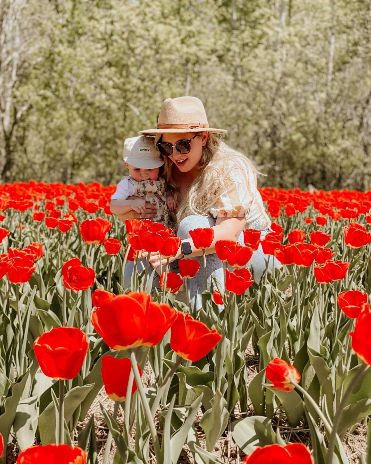 Credit: @evelynecasavant