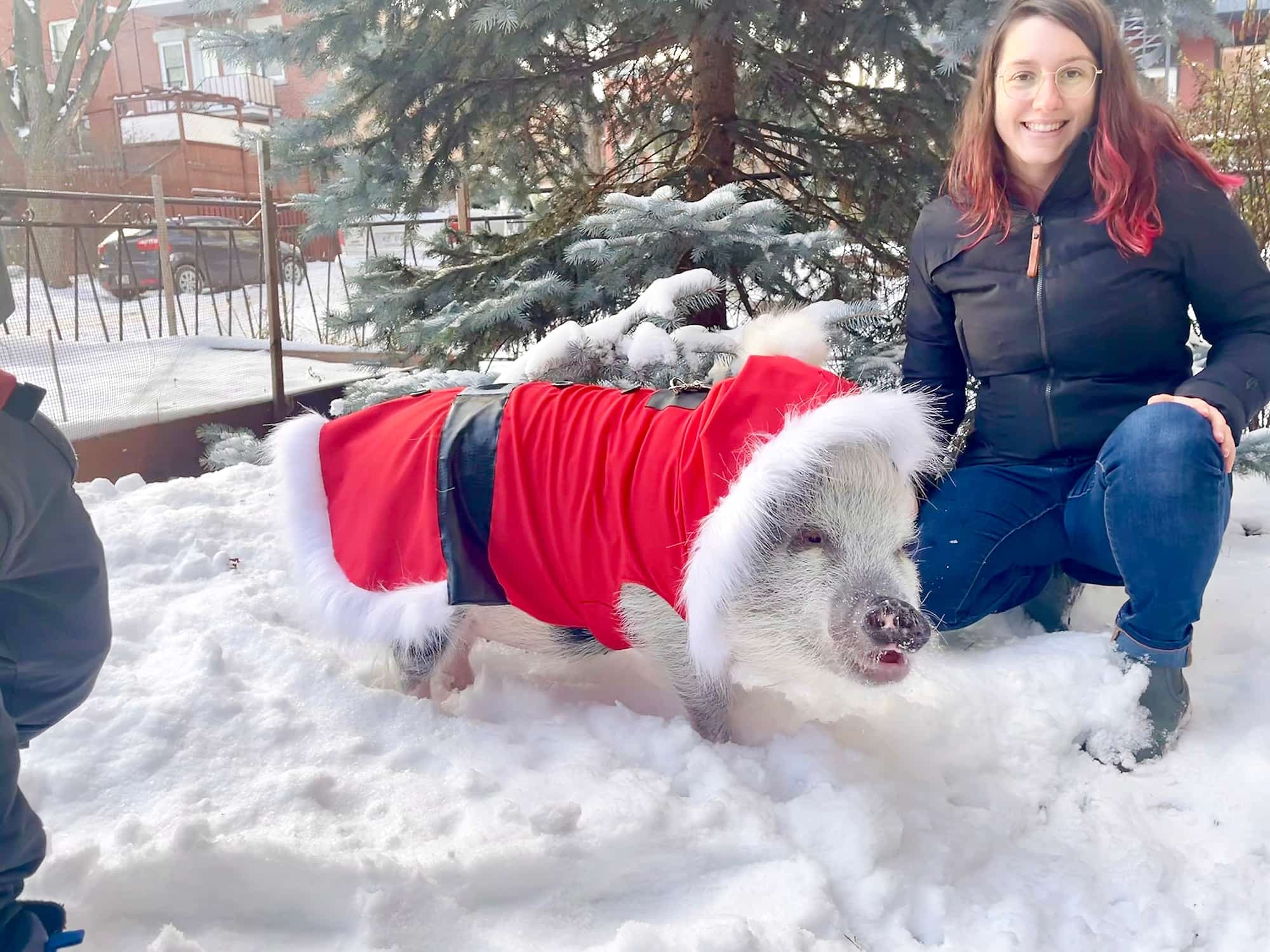 Alexandra Potvin-Desrochers a revêtu Truffe de son plus bel habit de Noël pour une courte sortie dans la neige.