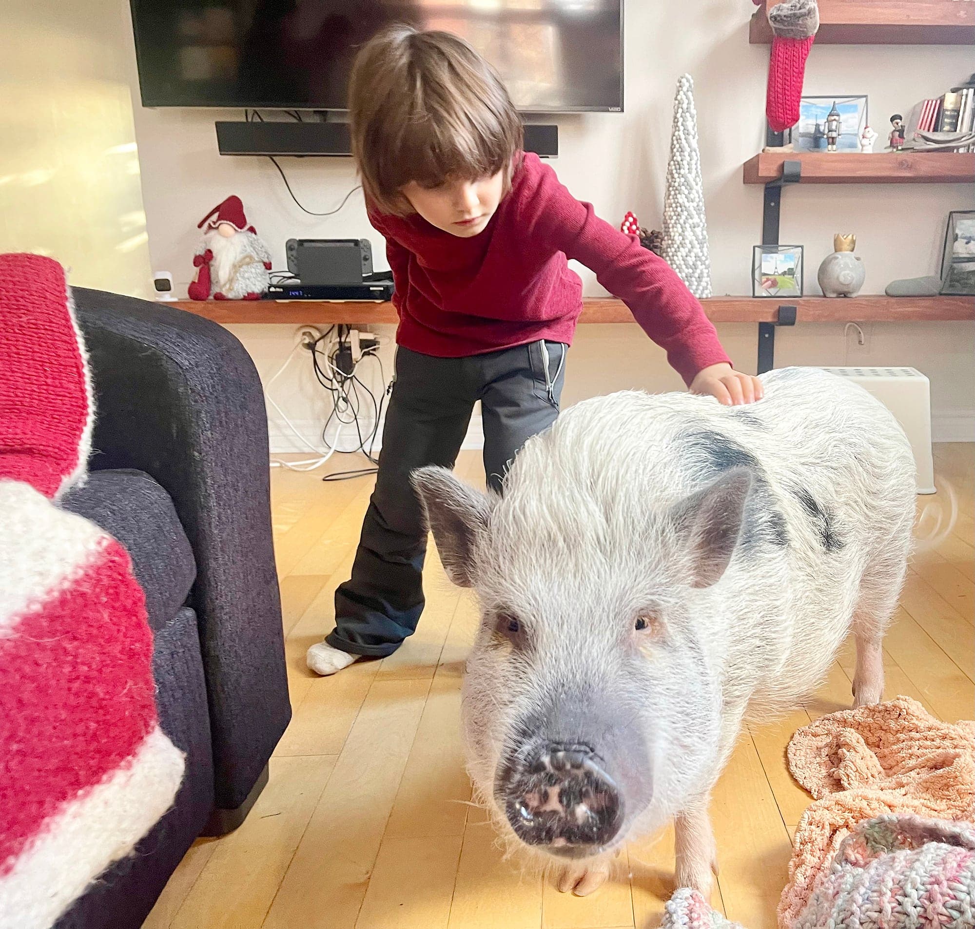 Photo Louis-Philippe Messier