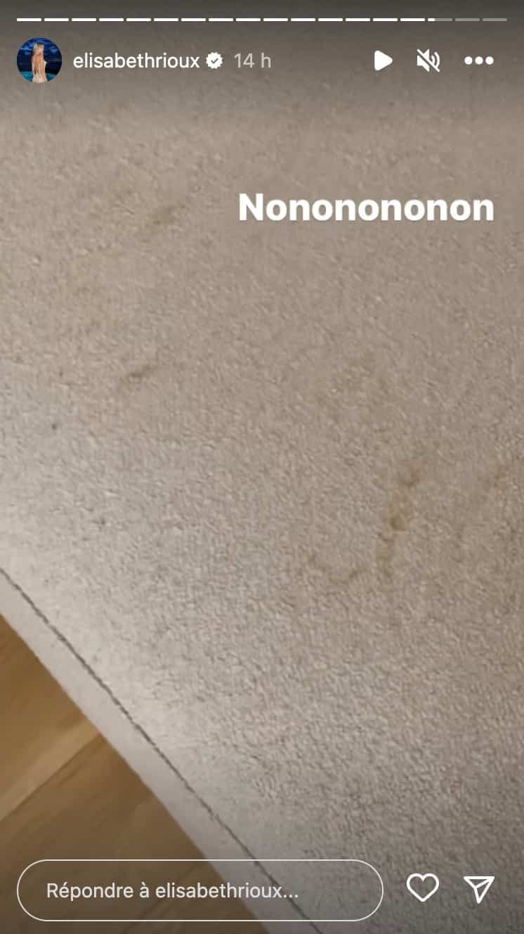 Capture d'écran @elisabethrioux